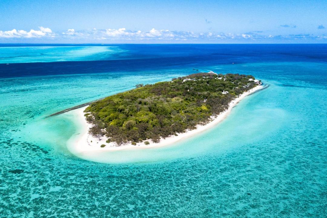 Photo of Others in Heron Island