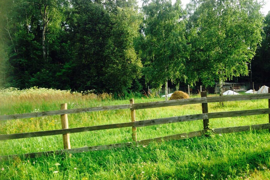 Photo of Outdoor in Demidovskoe