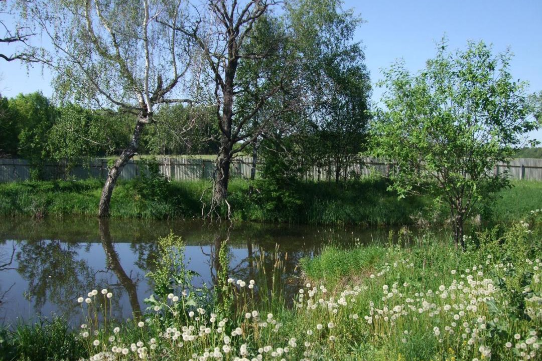 Photo of Outdoor in Demidovskoe