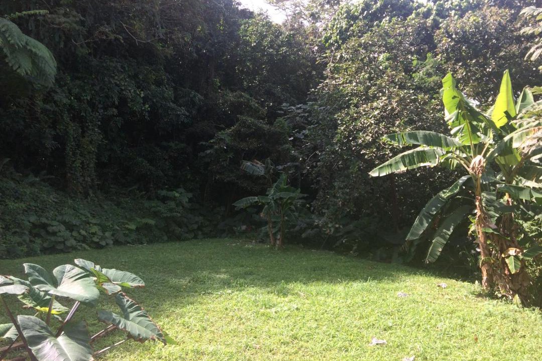 Photo of Others in Luquillo