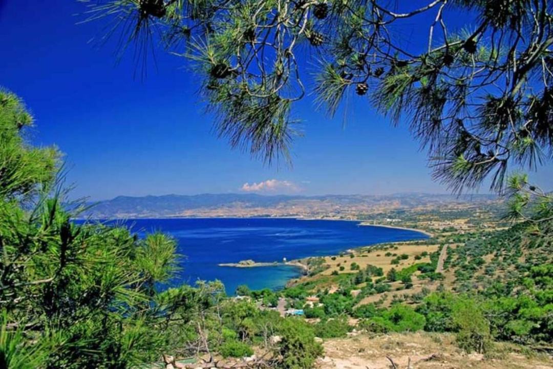 Photo of Outdoor in Cape Greko