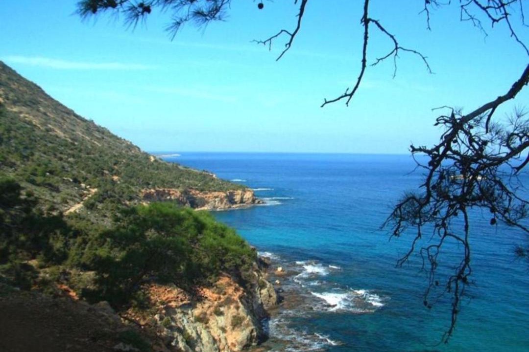 Photo of Outdoor in Cape Greko