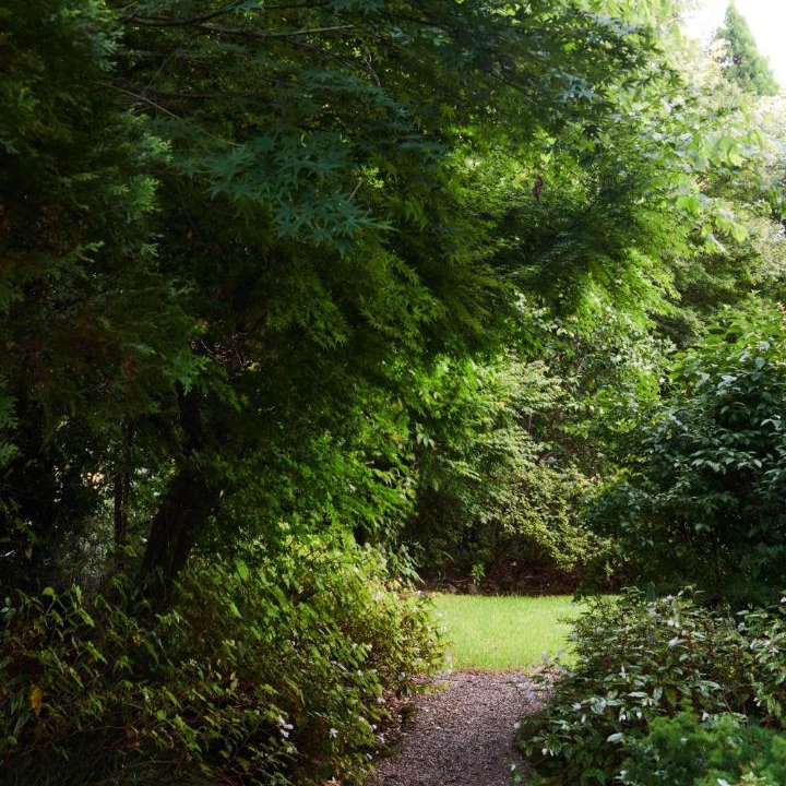 Photo of Others in Kurrajong Heights