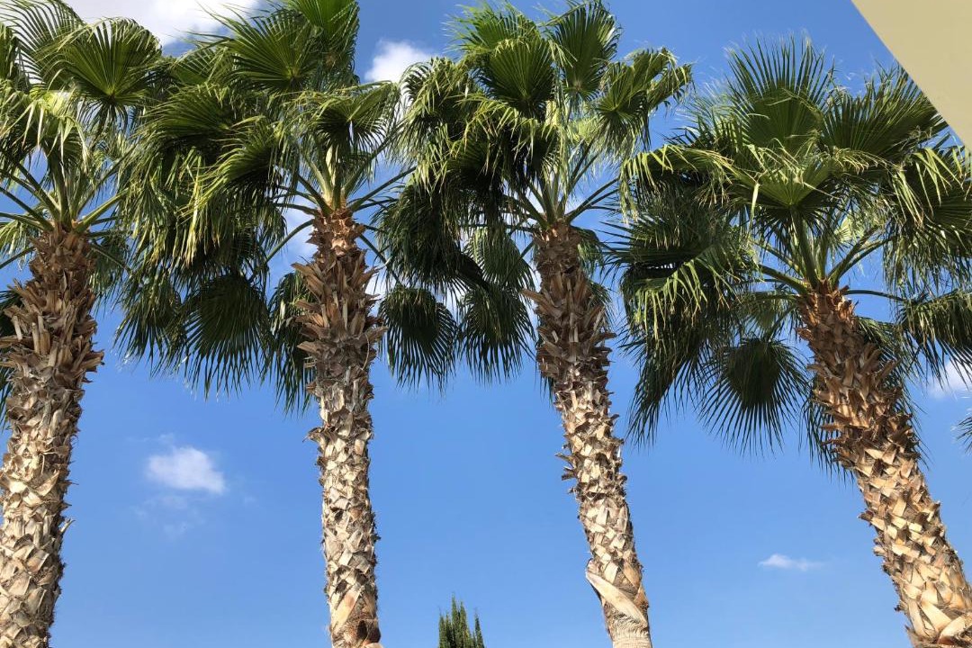 Photo of Outdoor in Ayia Thekla