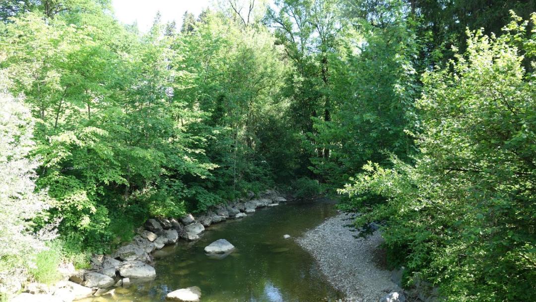 Photo of Others in Hoerbranz