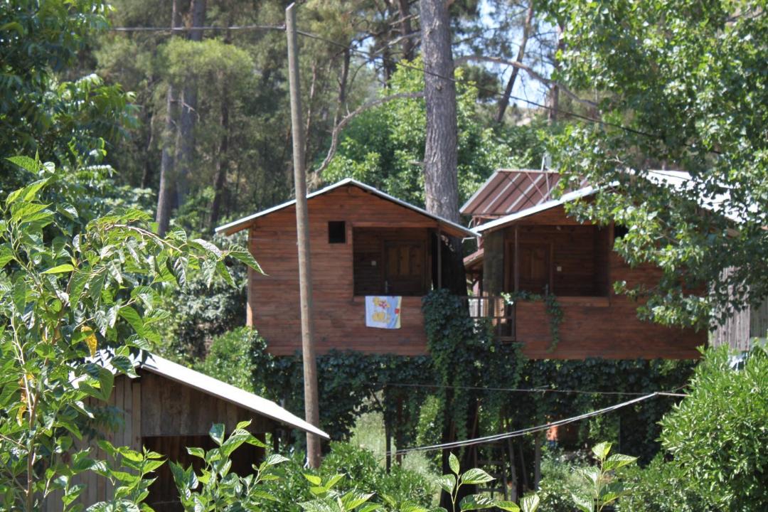 Photo of Others in Olympos