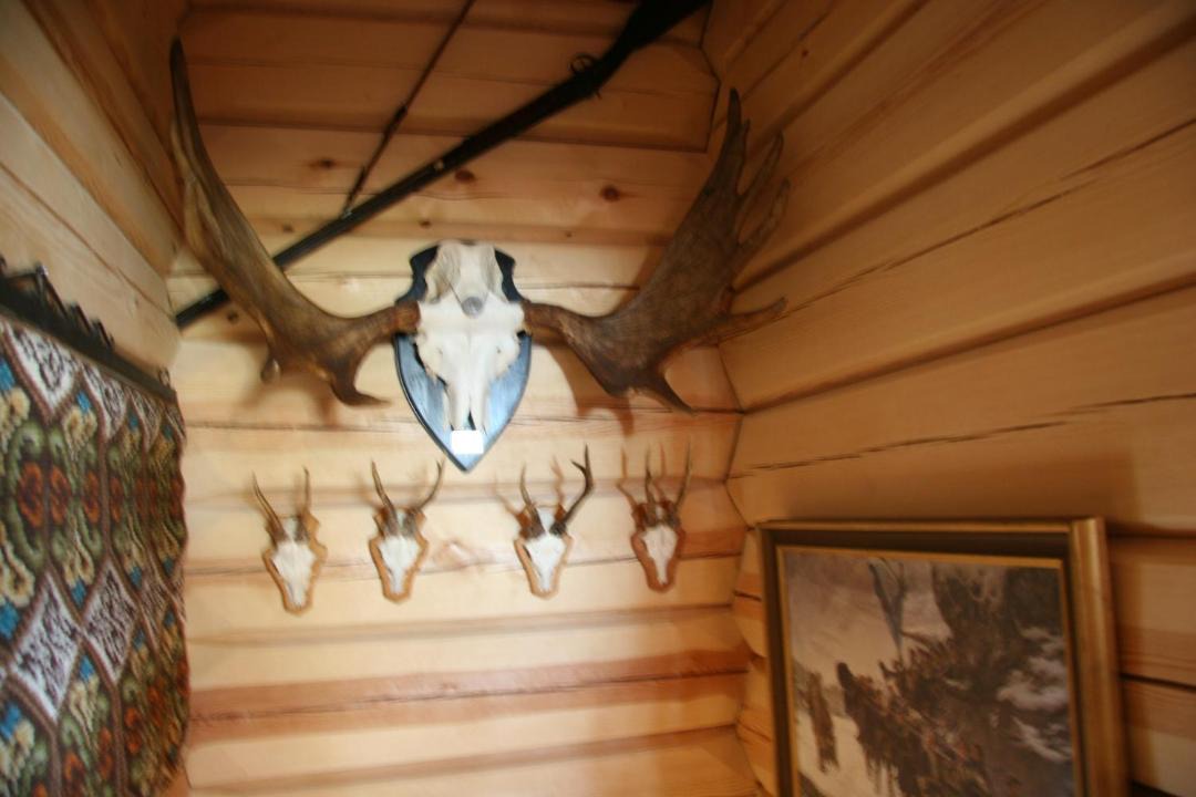 Photo of Others in Arvika