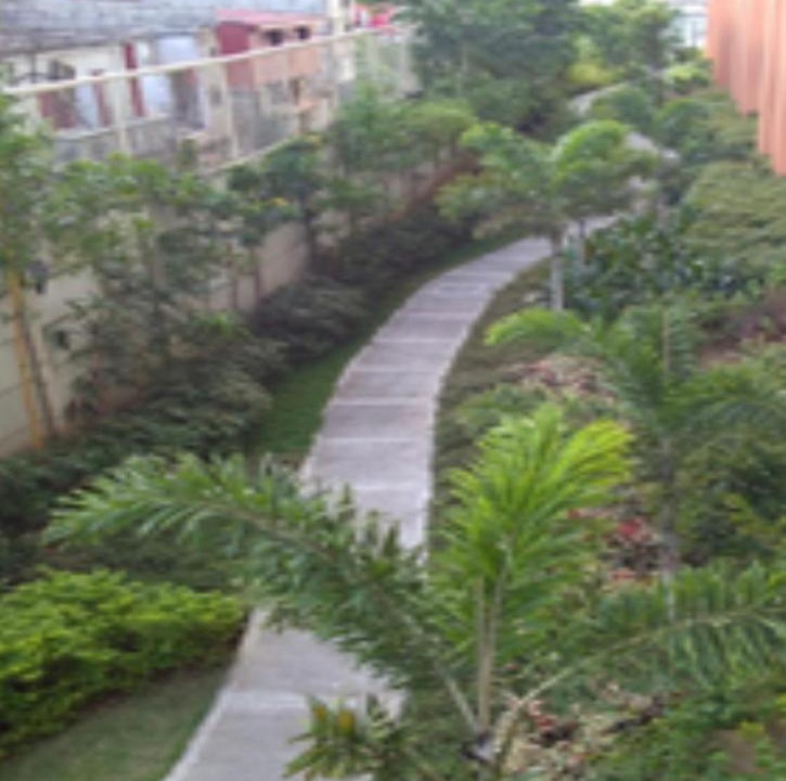 Photo of Others in San Dionisio