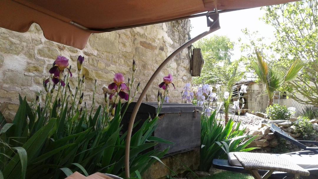 Photo of Patio Balcony in Beaumont