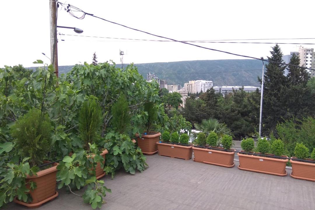 Photo of Others in Tbilisi