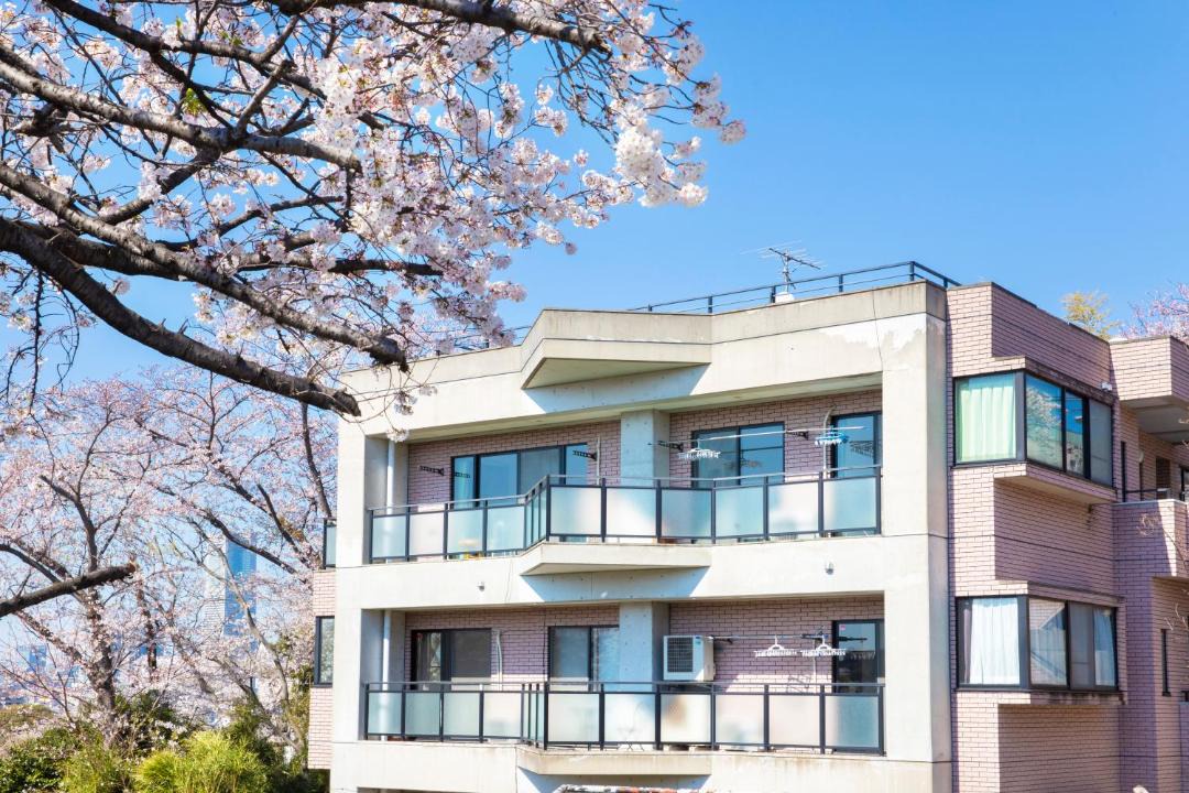 Photo of Others in Minami Ward