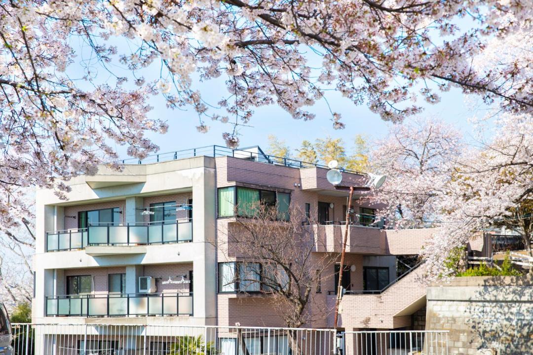 Photo of Buildings in Minami Ward