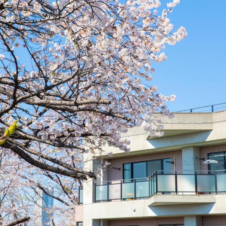 Photo of Others in Minami Ward