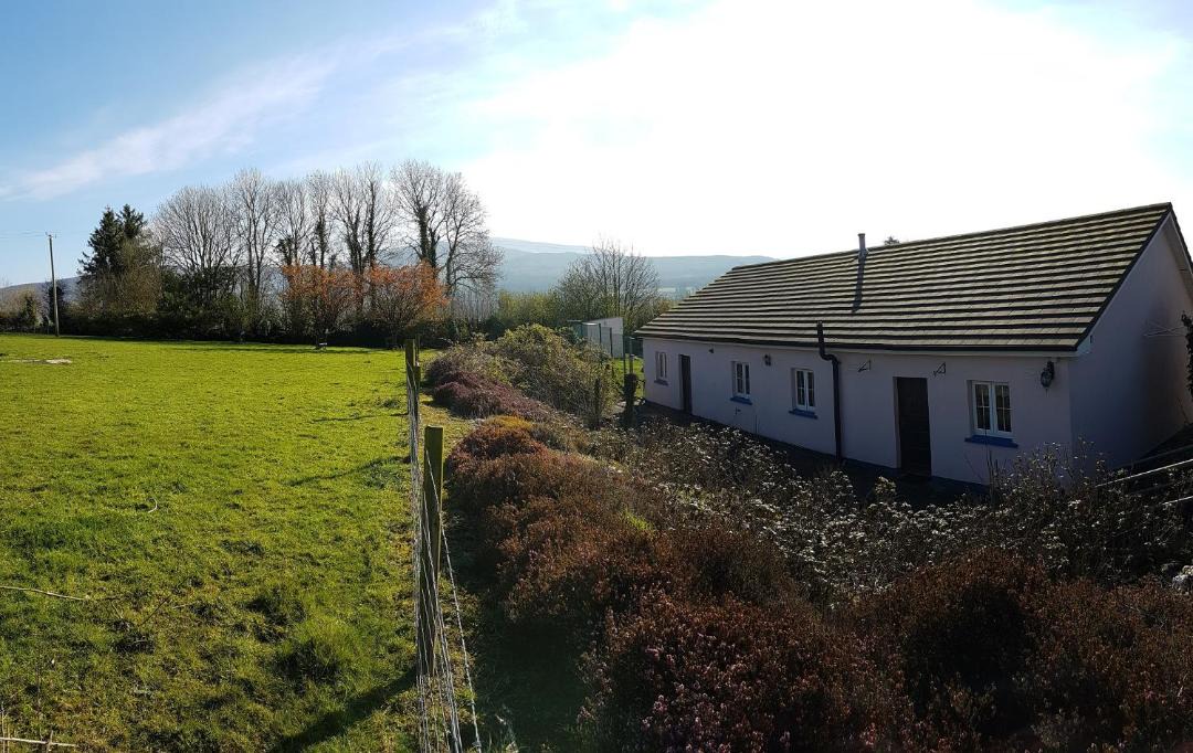 Photo of Others in County Waterford