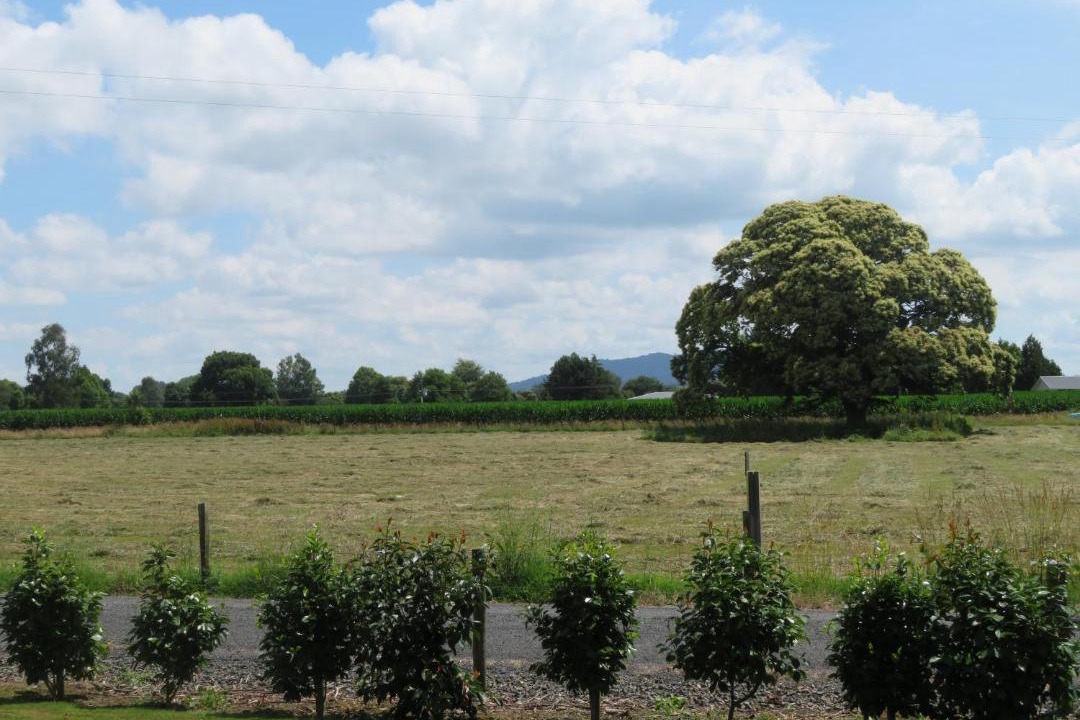 Photo of Others in Matamata