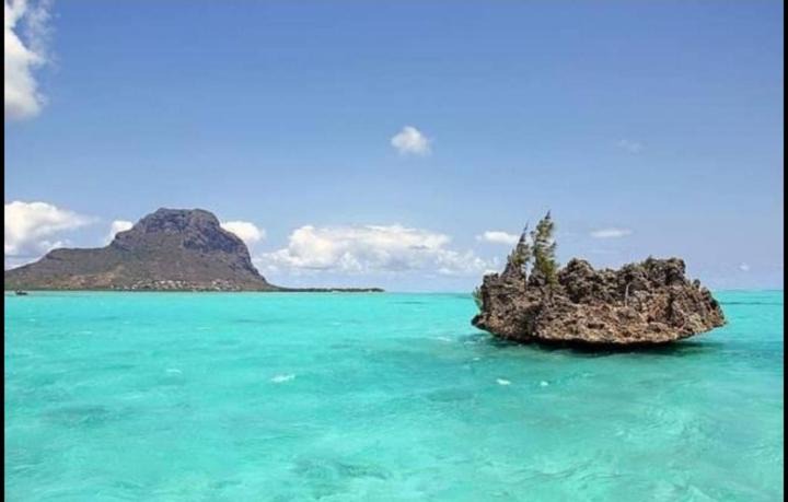 Photo of Others in Le Morne Brabant