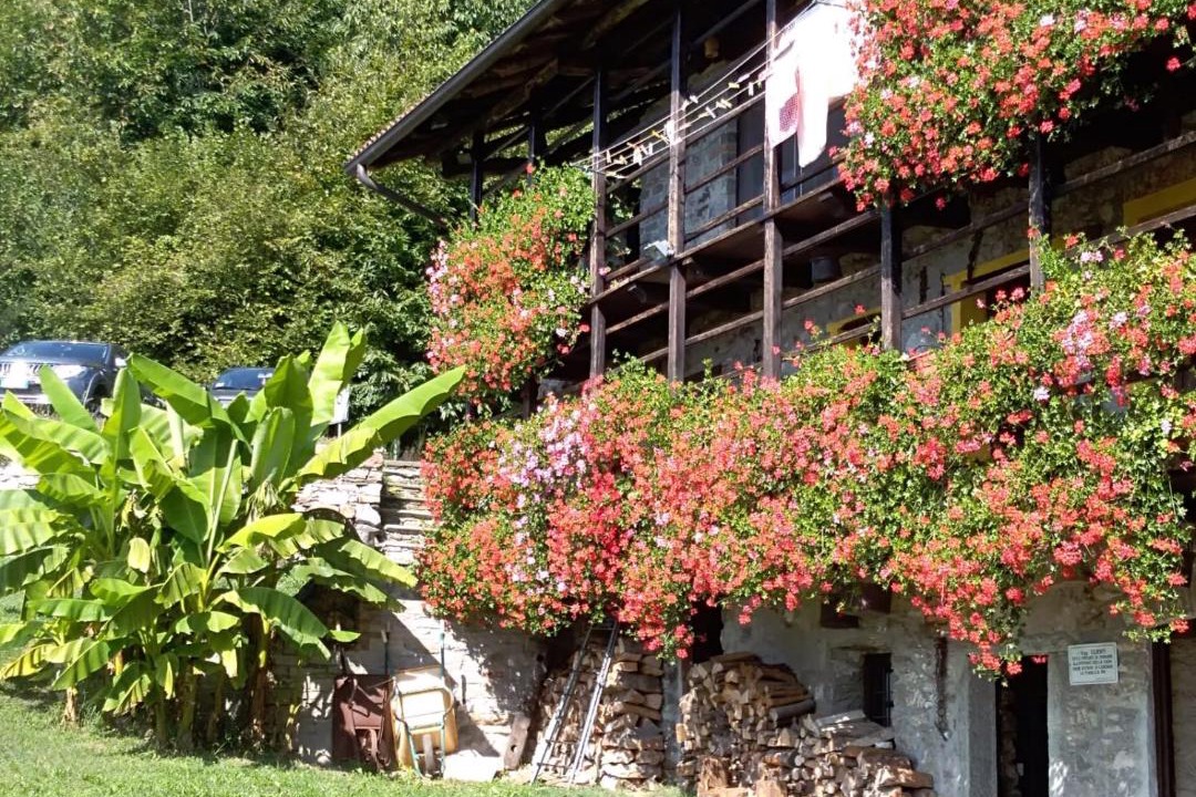 Photo of Others in Roccapietra