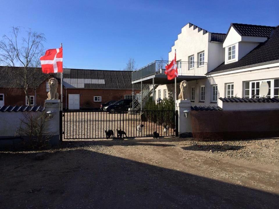 Photo of Others in Fredericia