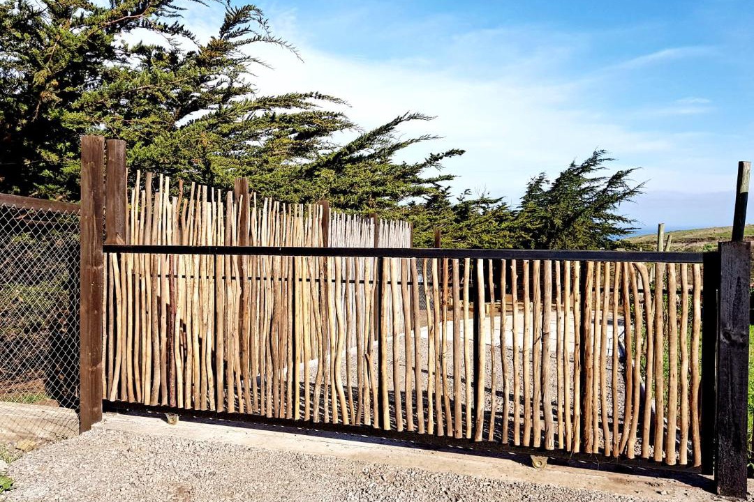 Photo of Buildings in Navidad