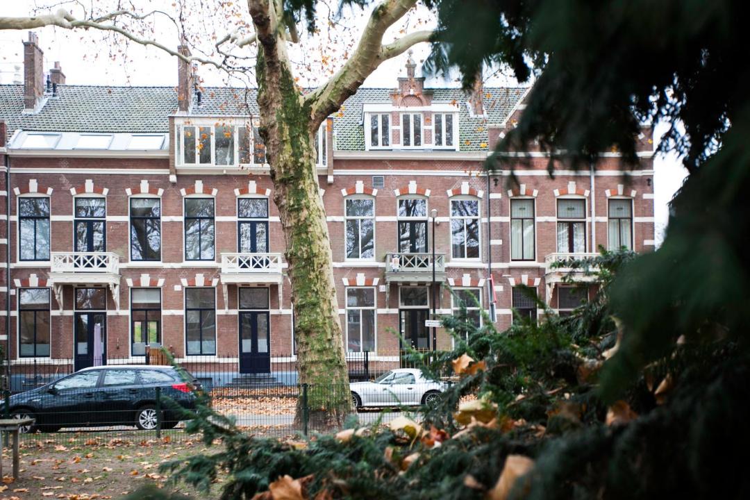 Photo of Others in Park Merwestein en omgeving