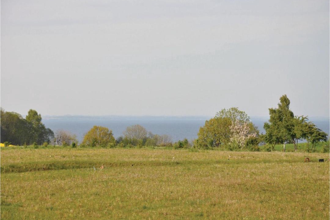 Photo of Others in Kettingskov