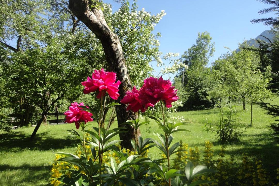 Photo of Outdoor in Bad Goisern
