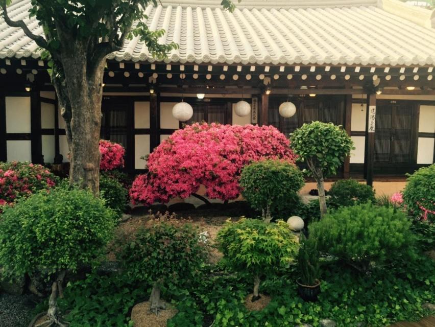 Photo of Buildings in Jeonju