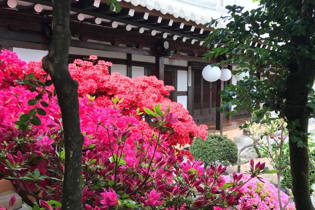 Photo of Others in Jeonju