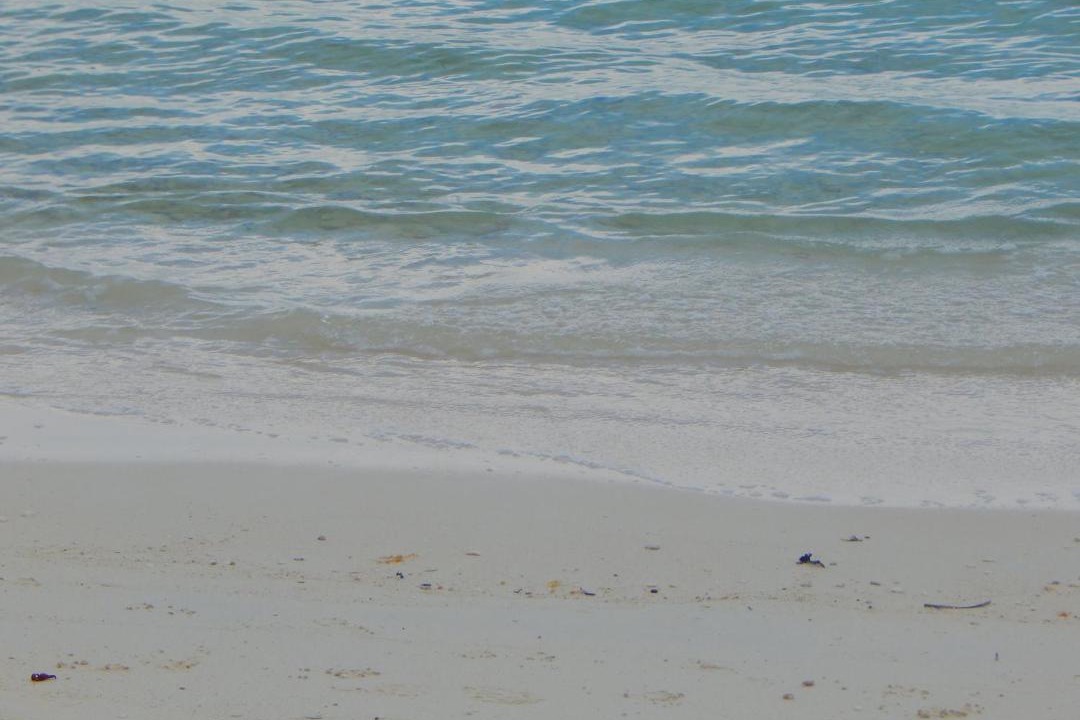 Photo of Human In Picture in Andros Town