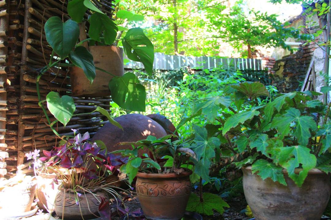 Photo of Patio Balcony in Vera
