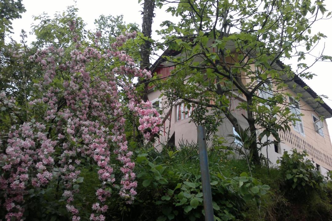 Photo of Others in Mtsvane Kontskhi