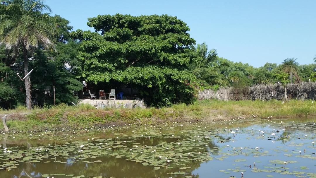 Photo of Outdoor in Abeme