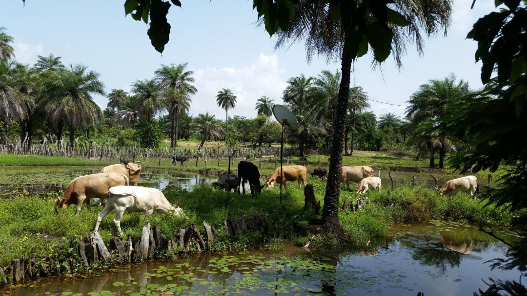 Photo of Outdoor in Abeme