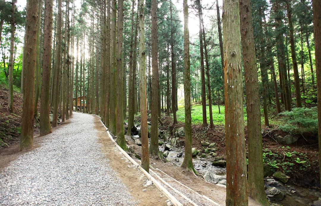 Photo of Others in Boseong