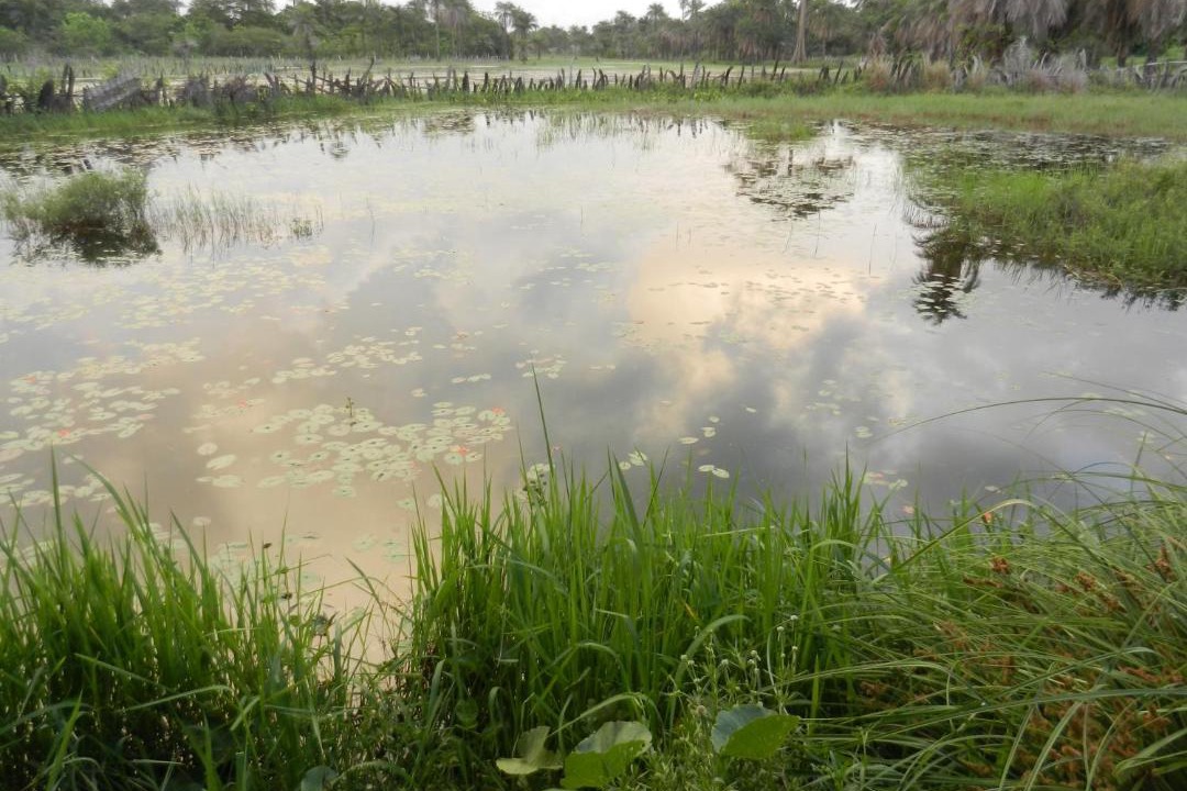 Photo of Outdoor in Abeme