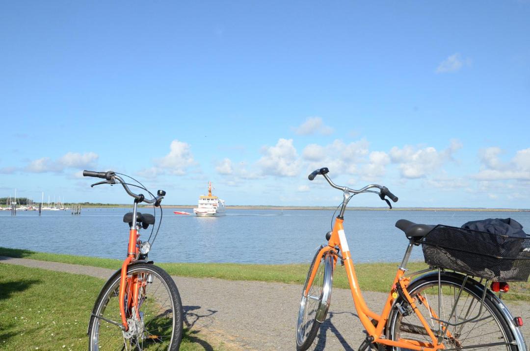 Photo of Others in Langeoog