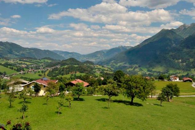 Photo of Others in Goldegg