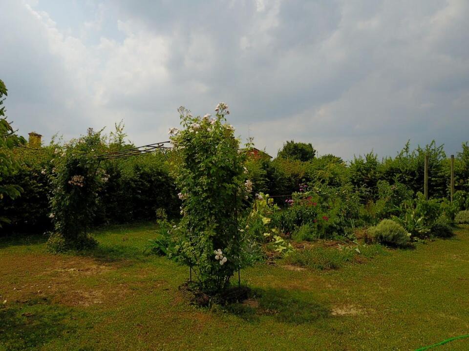 Photo of Others in Valvasone