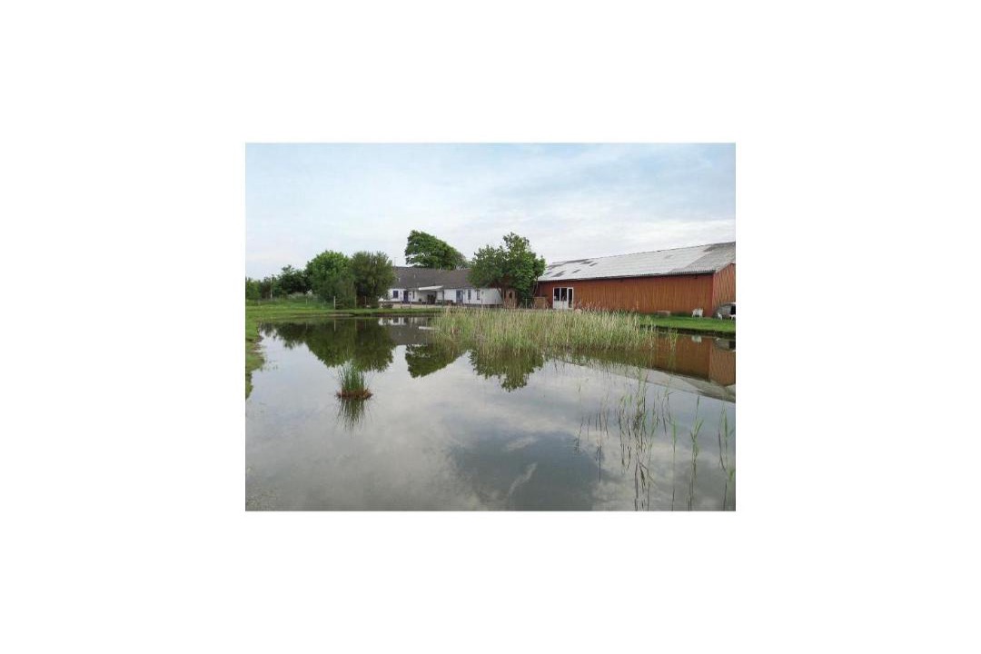 Photo of Others in Esbjerg Municipality