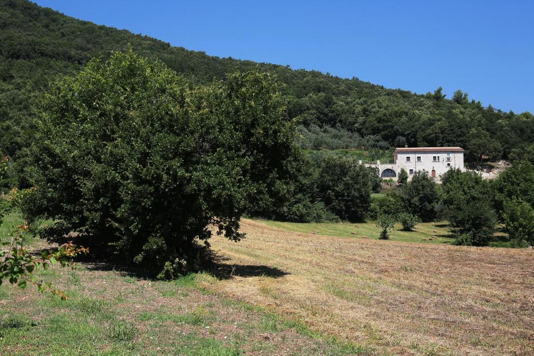 Photo of Others in Faicchio