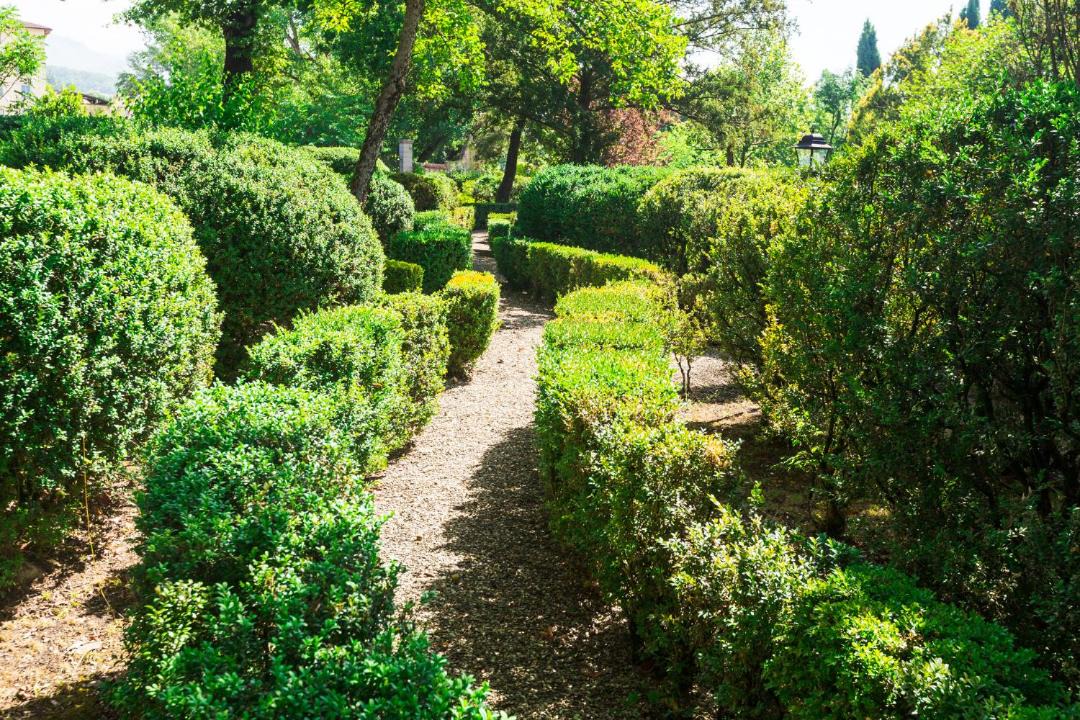 Photo of Outdoor in Sansepolcro
