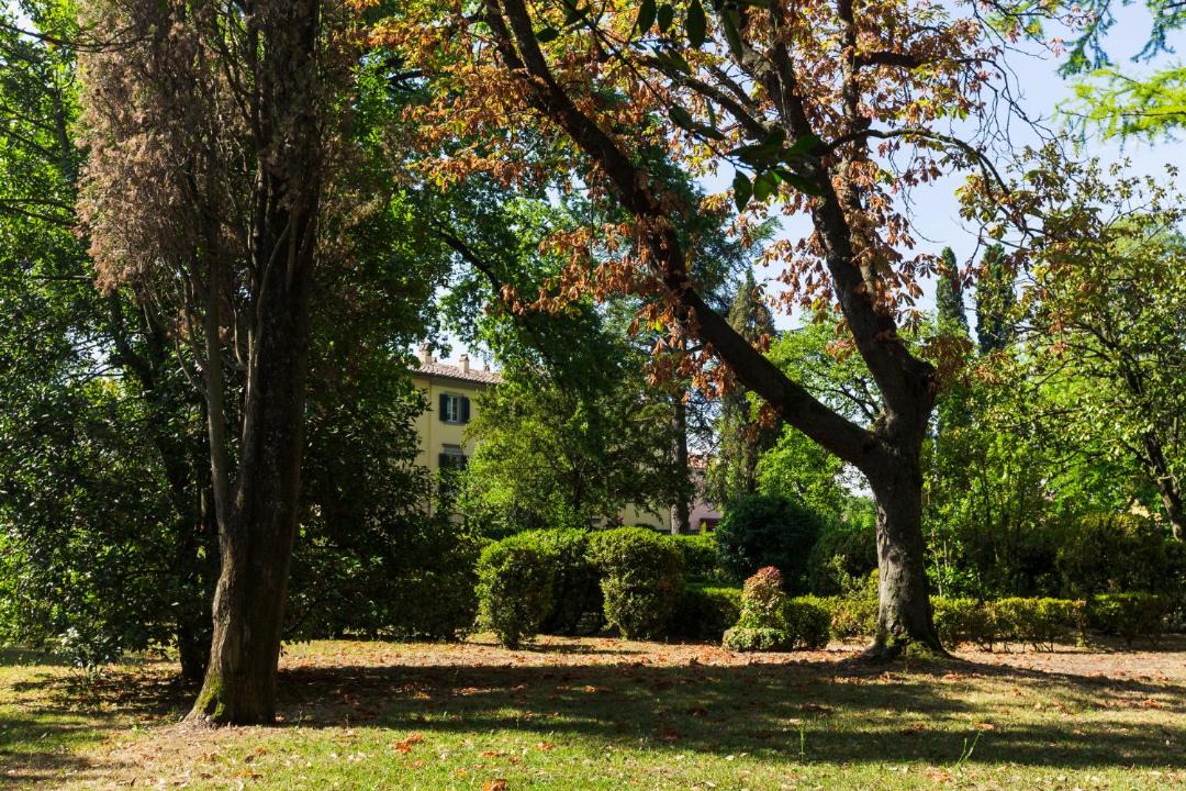 Photo of Outdoor in Sansepolcro