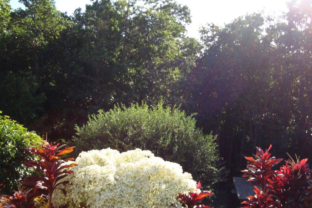 Photo of Outdoor in Mahaut