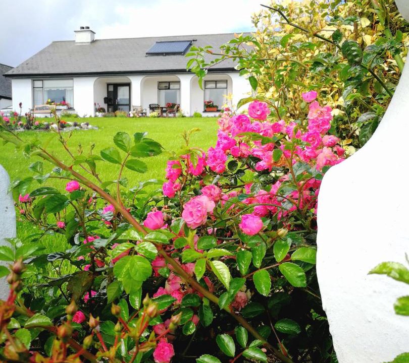 Photo of Others in Louisburgh