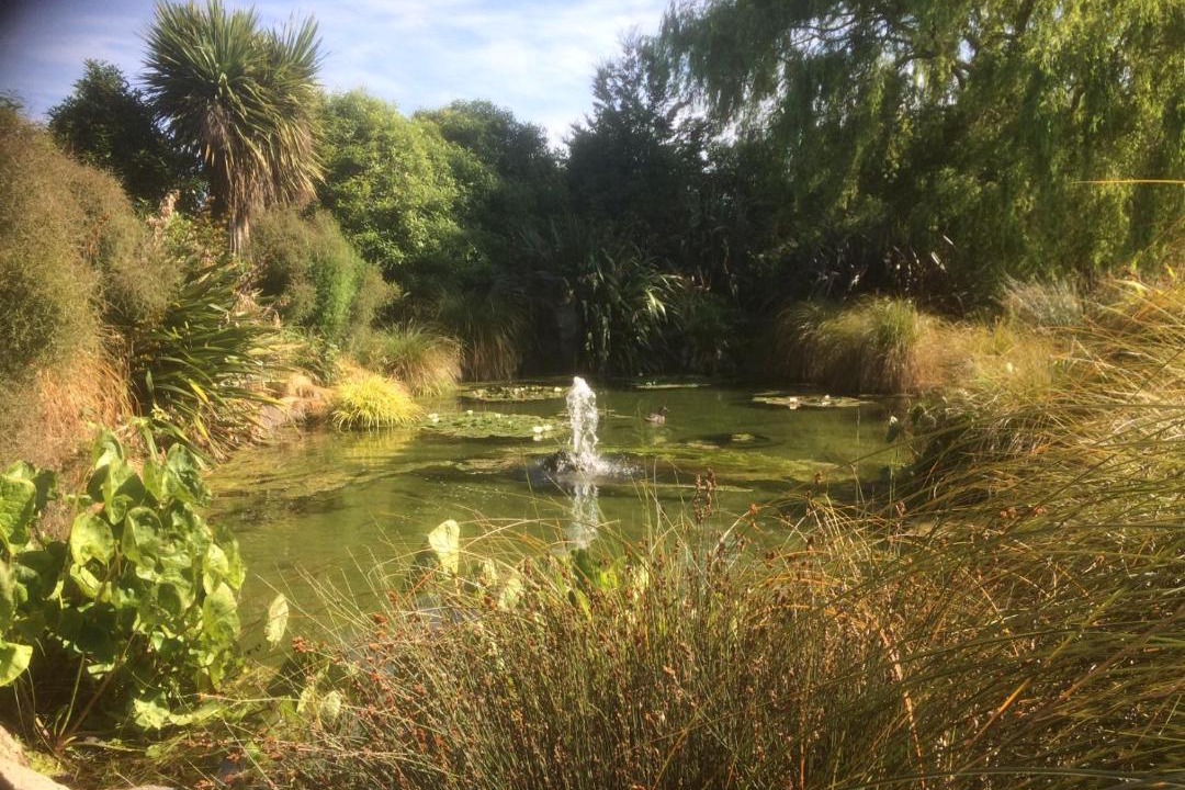 Photo of Others in Christchurch