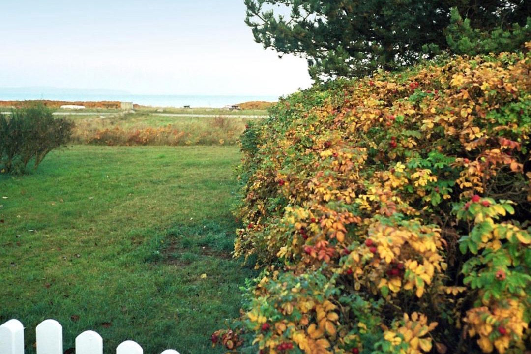 Photo of Outdoor in Middelfart