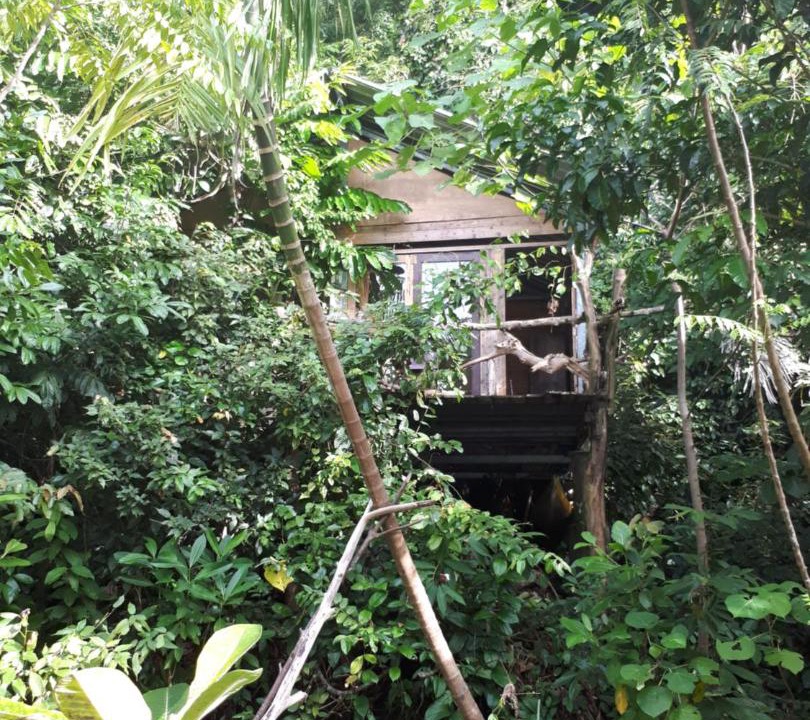 Photo of Others in Nagari Sungai Pinang