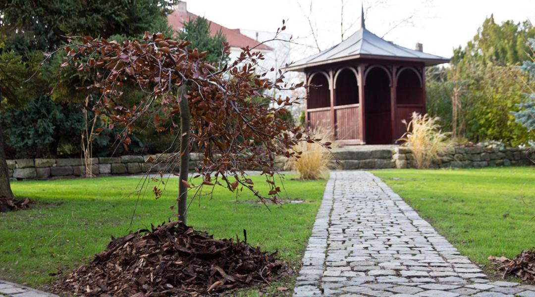 Photo of Others in Chrudim