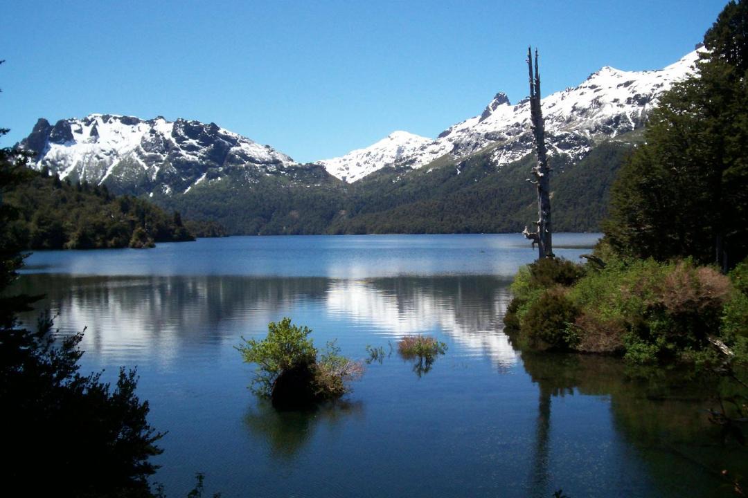 Photo of Others in Hornopiren National Park