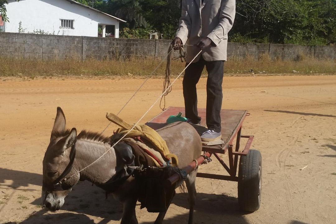 Photo of Others in Abeme
